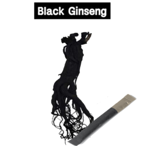 Korean Black Gingseng